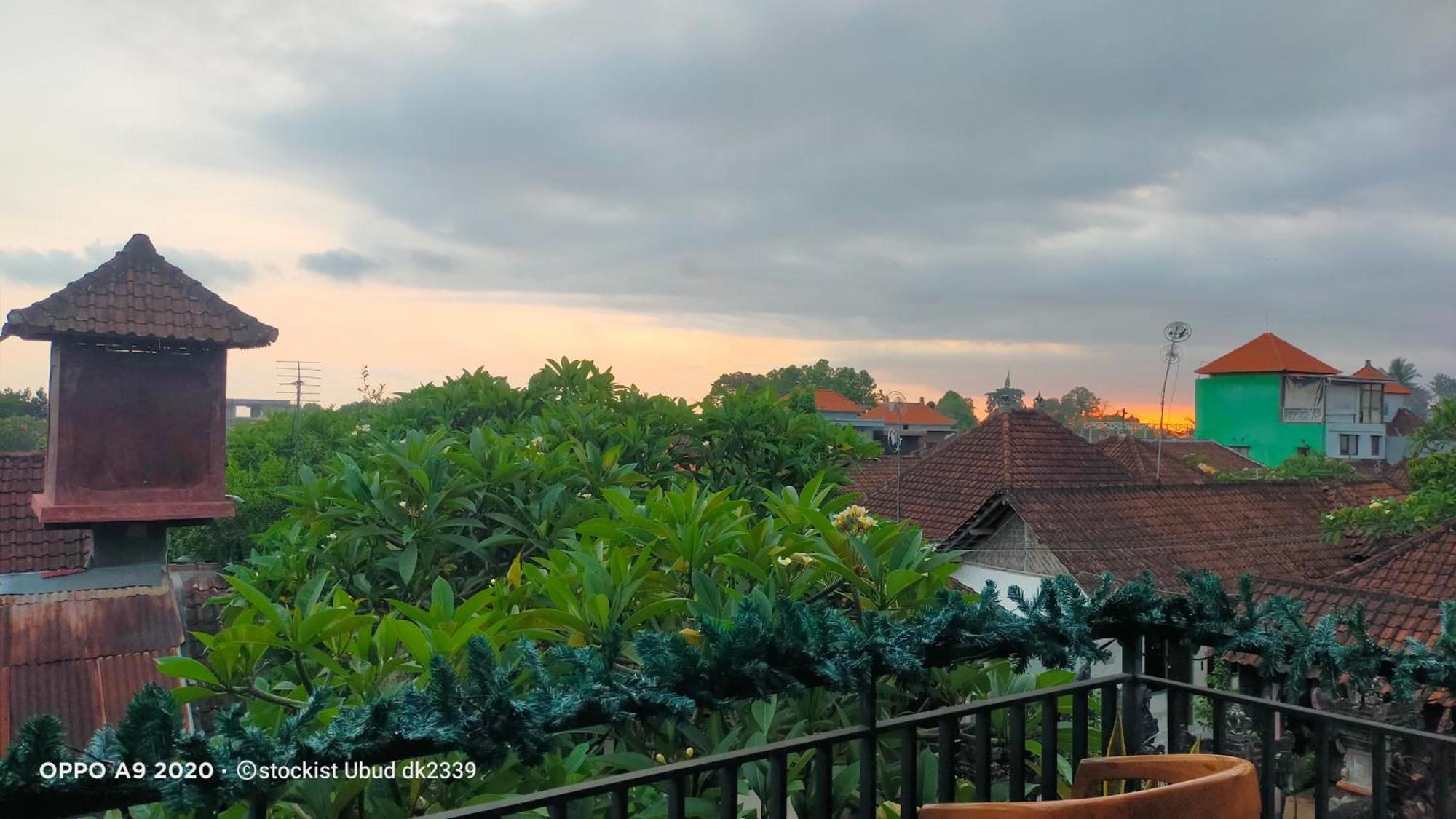 Danu House Ubud Ngoại thất bức ảnh