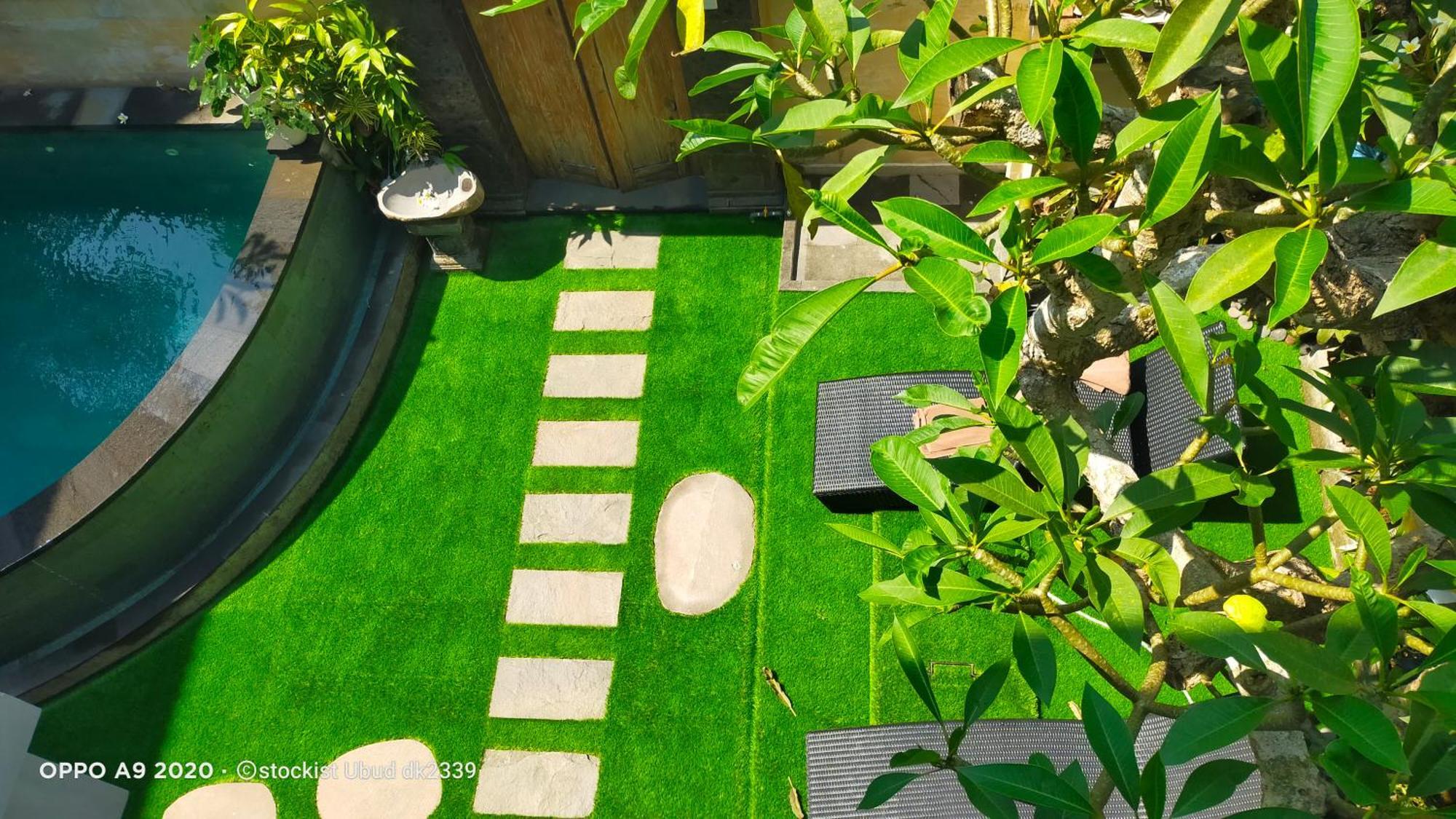 Danu House Ubud Ngoại thất bức ảnh
